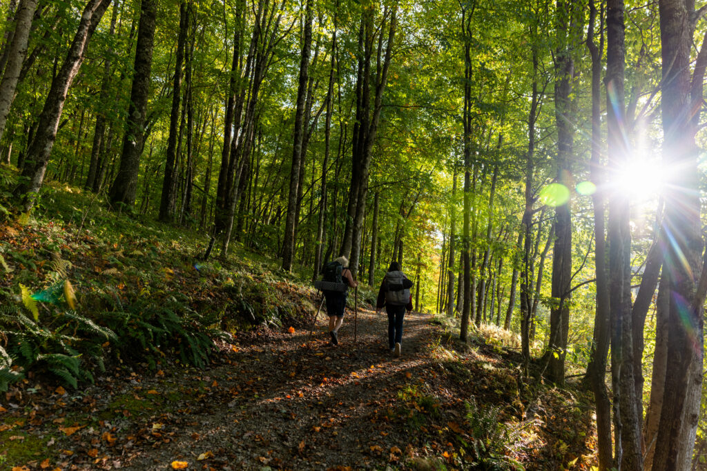 Hikers walking through forest outside Cowen