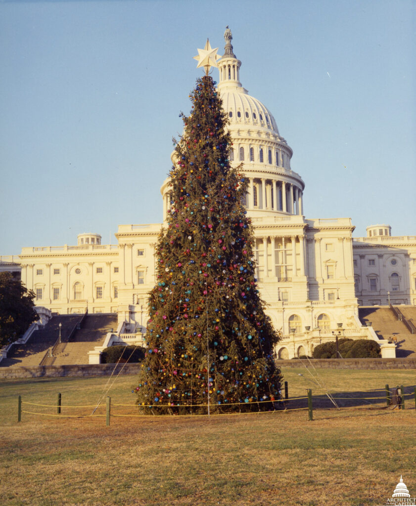 1970 Capitol Christmas Tree on White House Lawn