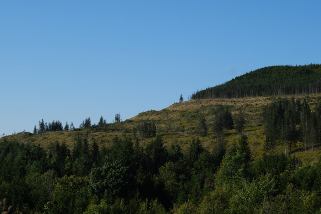 View of mountain from Hawks Ridge Loop Trail at Mower Basin