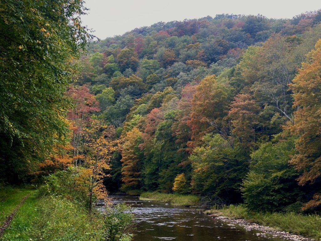 River during Fall along West Fork Rail Trail