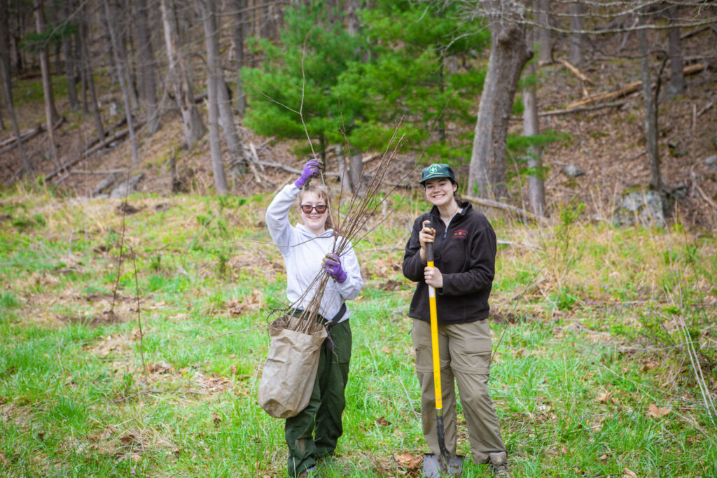 Volunteers help with tree planting in the Mon