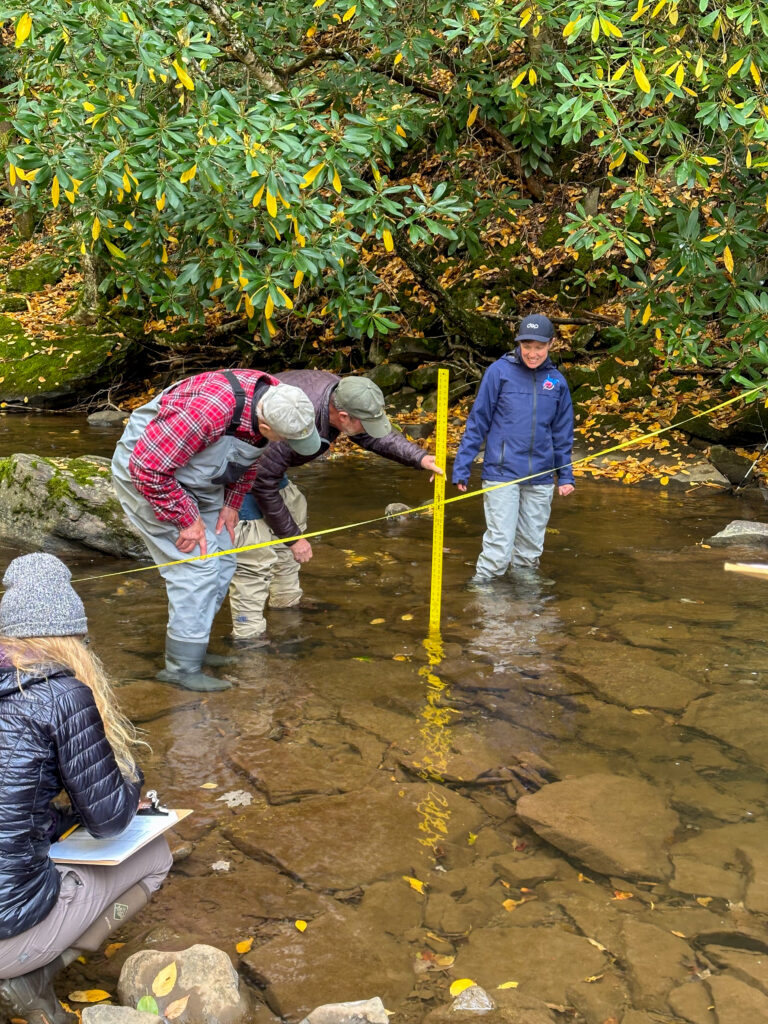 Macroinvertebrate River Surveys with Save Our Streams