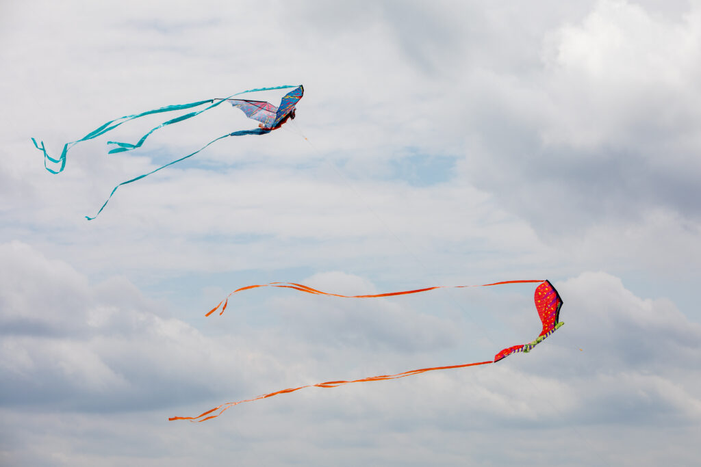 Red and Blue Kites with Tails fly above Spruce Knob