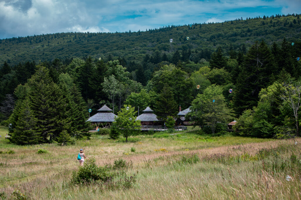 Wooden Yurts surrounded by trees at Experience Learning's Spruce Knob Campus